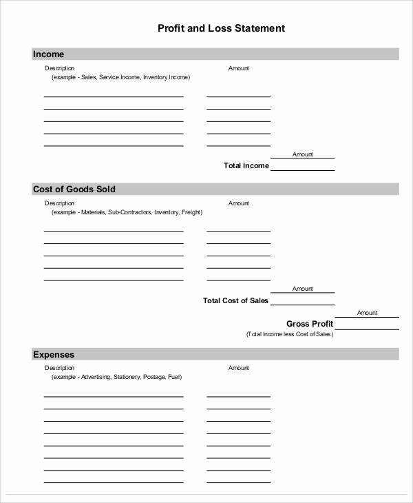 Blank Profit and Loss Template Inspirational 50 Sample Statement forms