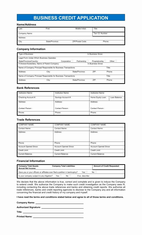 Business Credit Application form Template Awesome Business Credit Application Template Beepmunk