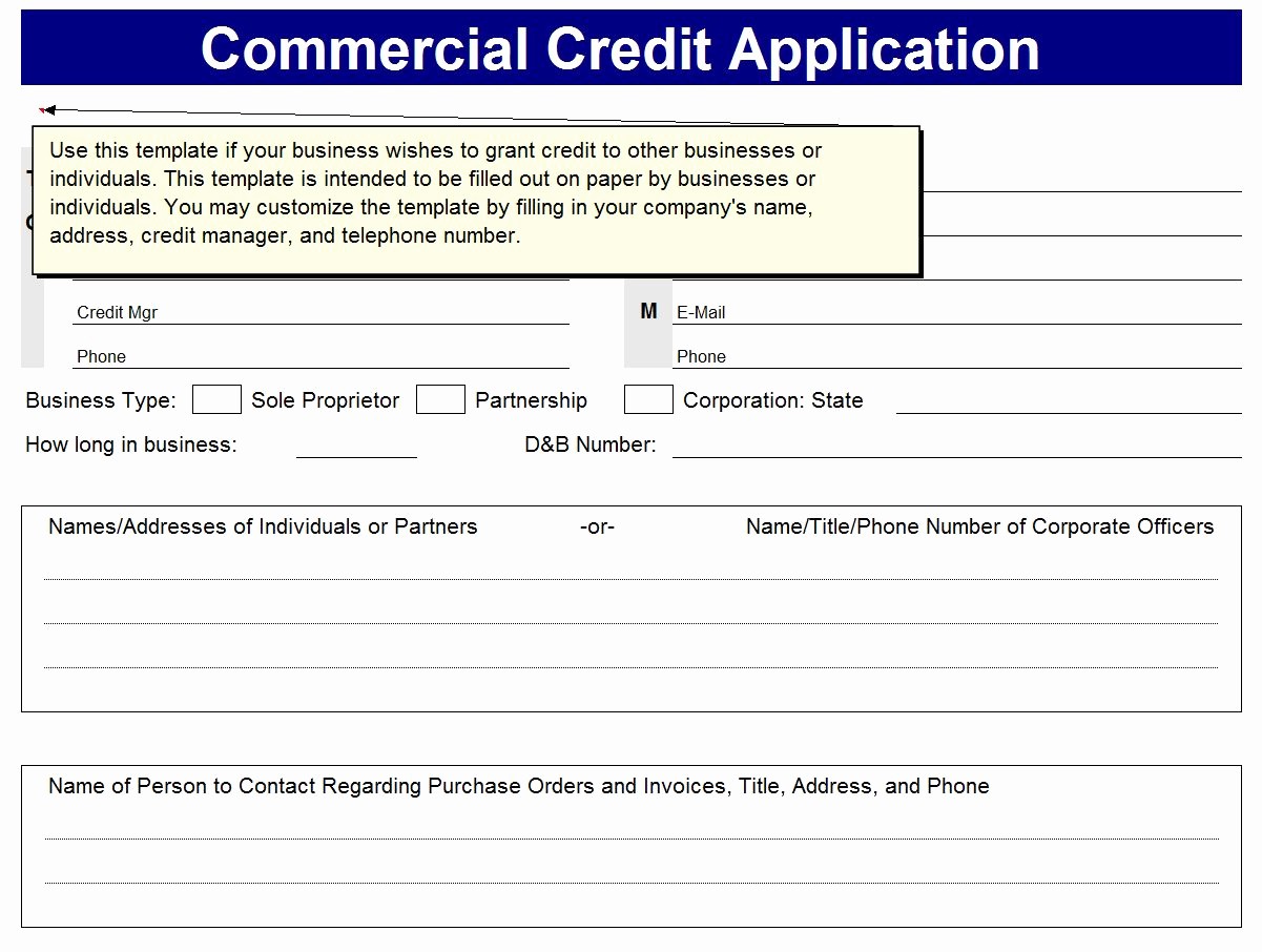 Business Credit Application form Template Beautiful Business Excel Templates