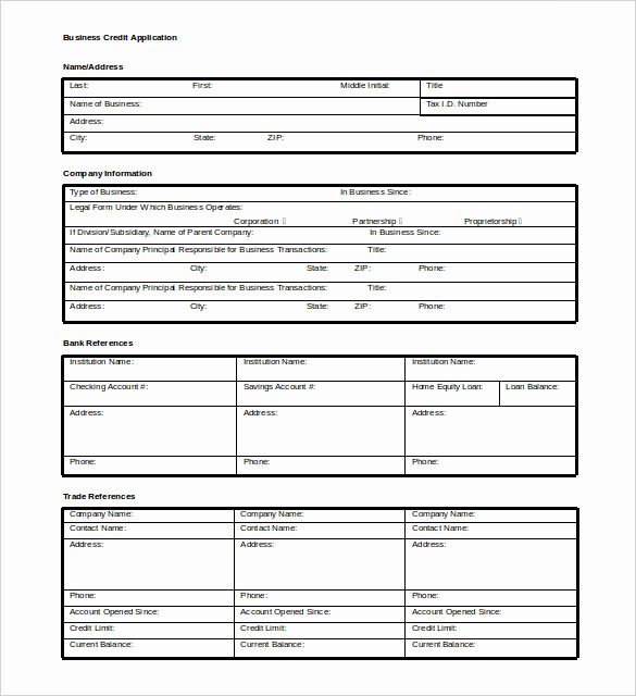 Business Credit Application form Template Fresh 5 Credit Template Doc Pdf Eps