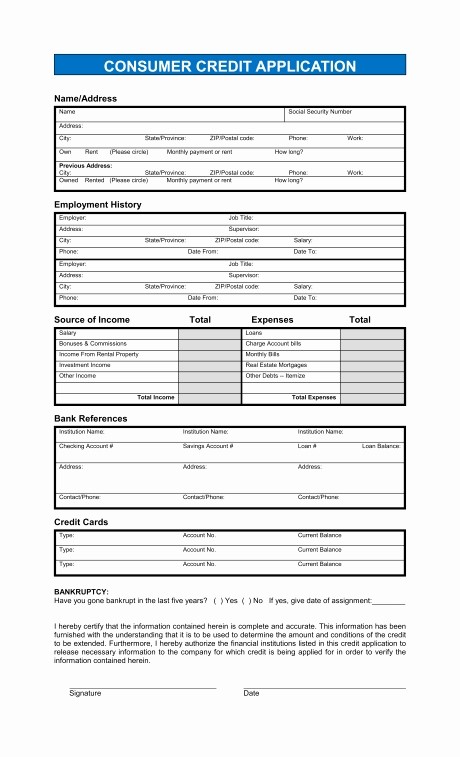 Business Credit Application form Template Lovely Business Credit Application Template Beepmunk