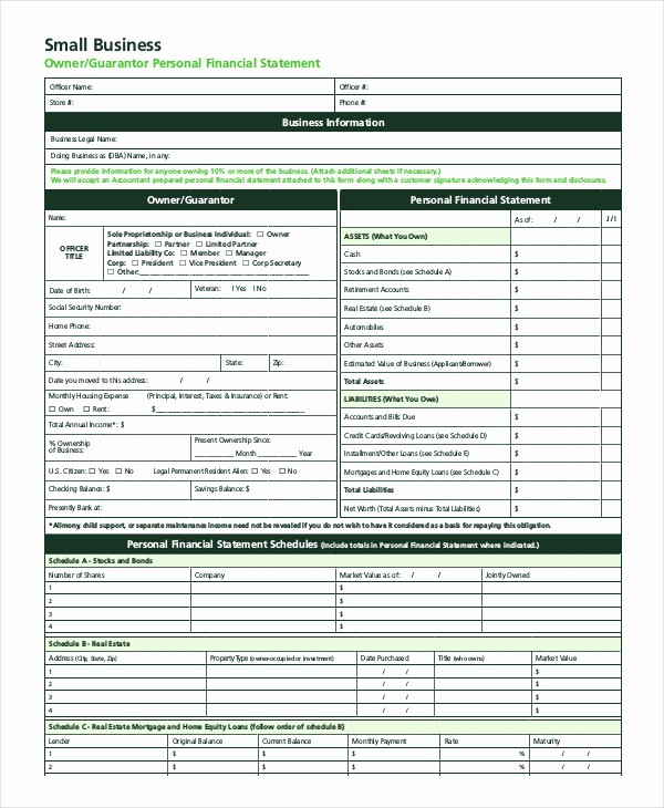 Business P&amp;amp;l Statement Inspirational Financial Statement form 11 Free Pdf Documents Download