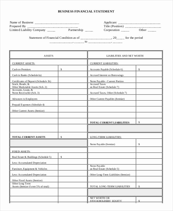 Business P&amp;amp;l Statement New 5 Financial Statement form Sample Free Sample Example