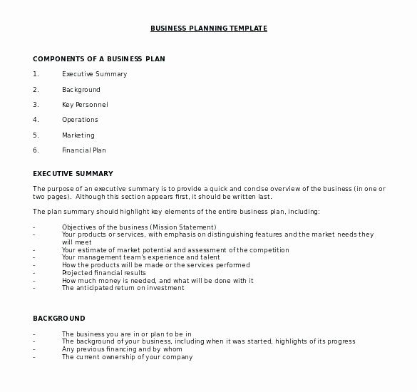 Business Plan Template .doc Best Of Internet Cafe Business Plan Doc – Blogopoly