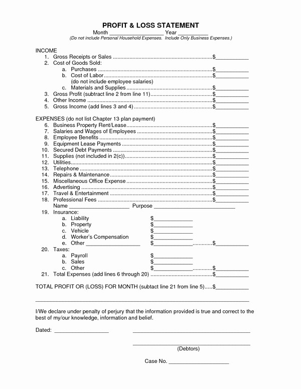 Business Profit and Loss form Awesome Profit and Loss Statement form Sample forms