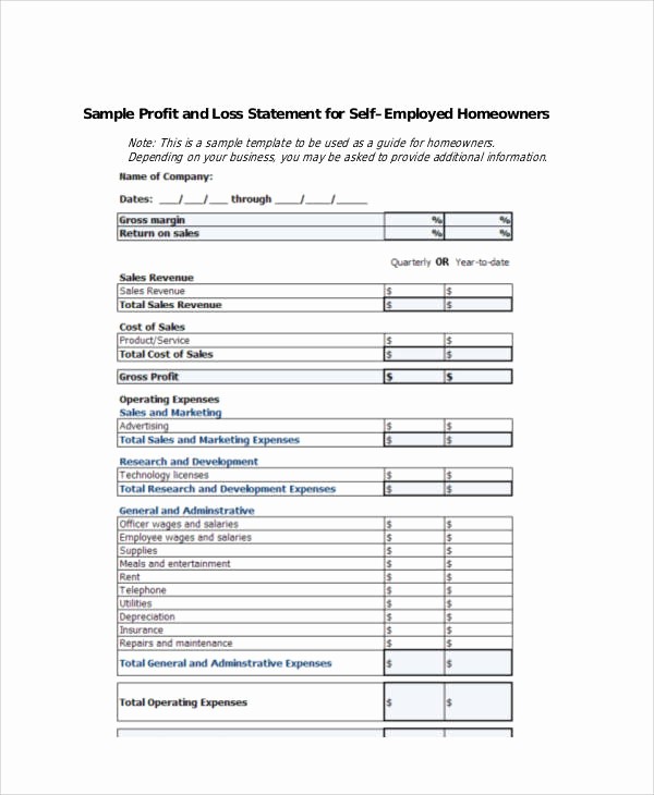 Business Profit and Loss form Unique 44 Sample Statement forms In Pdf