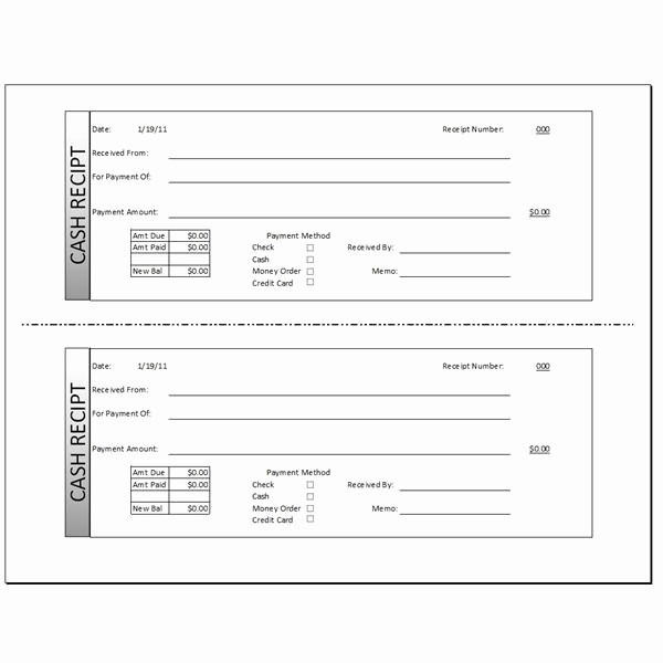 Cash Receipt format In Excel Fresh Download A Free Cash Receipt Template for Word or Excel