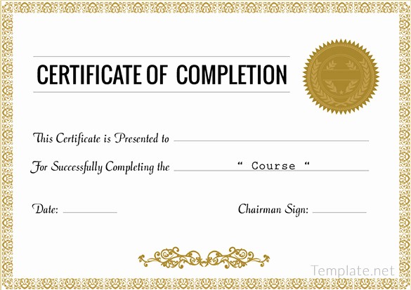 Certificate Of Completion Word Template Lovely 38 Pletion Certificate Templates Free Word Pdf Psd