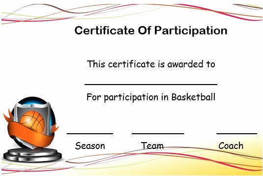 Certificate Of Participation for Kids Awesome 27 Professional Basketball Certificate Templates Free