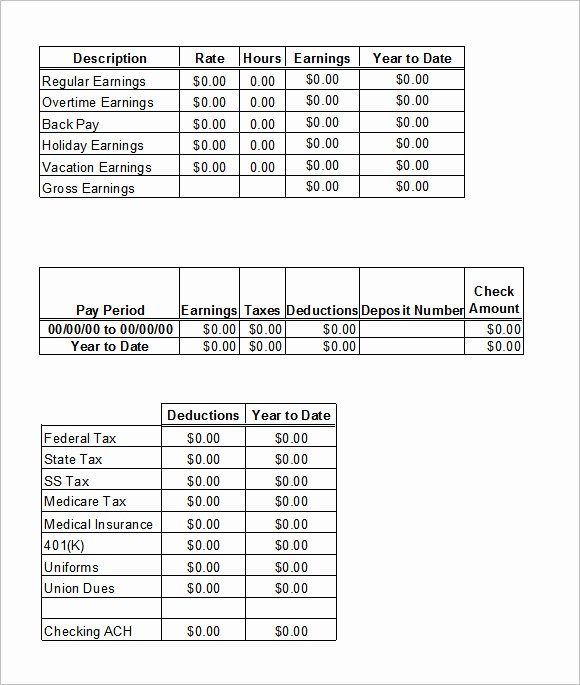 Check Stub Template for Excel Fresh 24 Pay Stub Templates Samples Examples &amp; formats