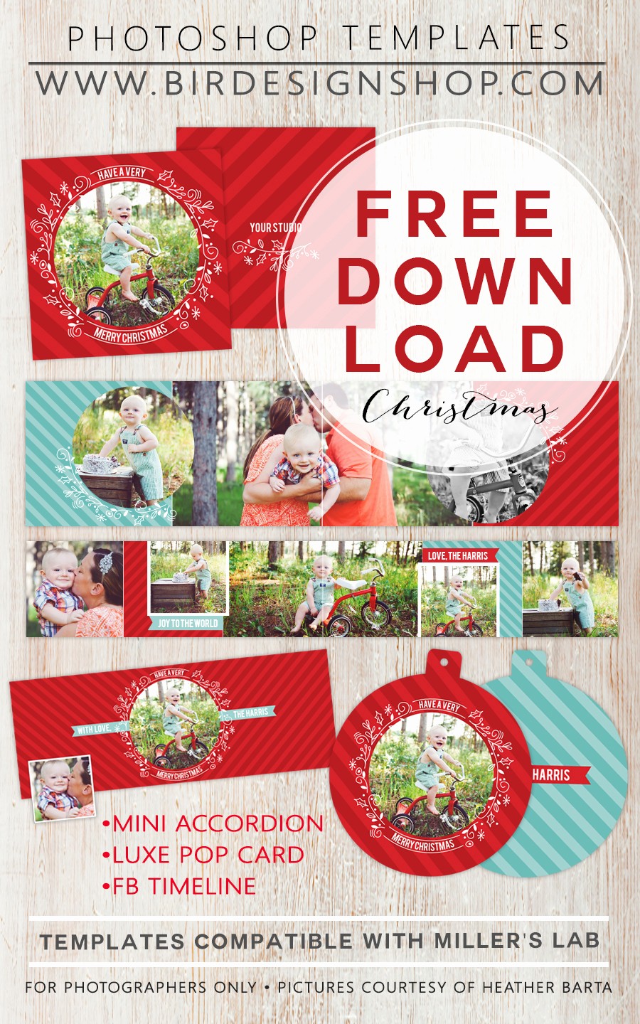 Christmas Family Newsletter Templates Free Unique 50 Free Holiday Card Templates Moritz Fine Designs