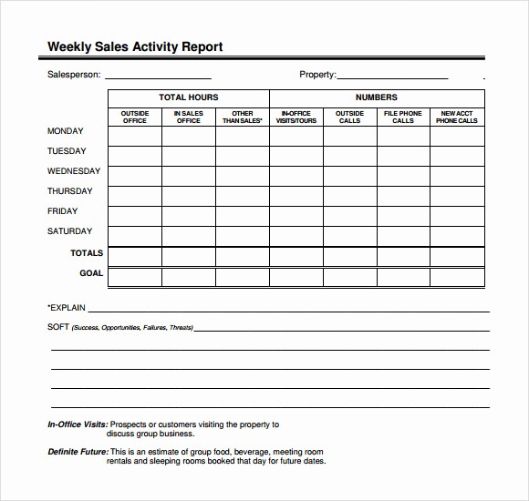 Consulting Report Template Microsoft Word Awesome 12 Sales Call Report Sample – Free Examples &amp; format