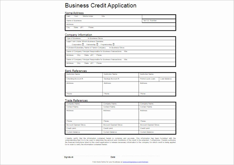 Credit Application form for Business Lovely 24 Credit Application form Templates Free Word Pdf formats