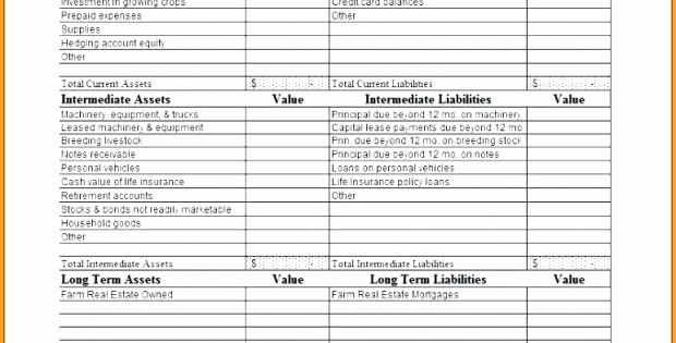 Credit Card Balance Sheet Template Inspirational 96 Farm Balance Sheet Example Microsoft Excel