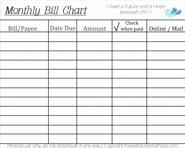 Credit Card Payment Tracking Spreadsheet Lovely Payment Tracker Template – Buildingcontractor