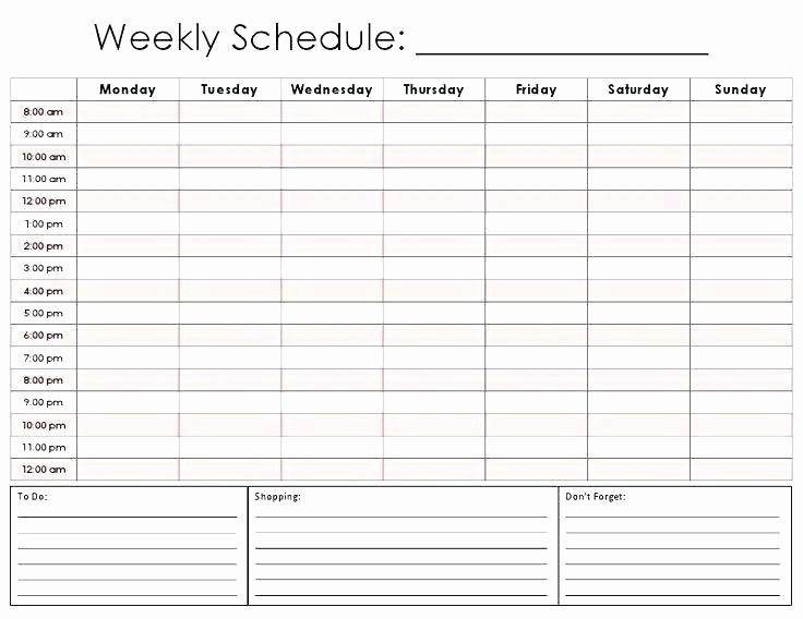 Daily Hourly Planner Template Excel Beautiful Hourly Schedule Printable Planner Daily Inserts Plan