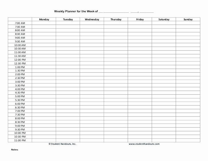 Daily Hourly Planner Template Excel Best Of Weekly Planner for the Week Hourly Timetable Template