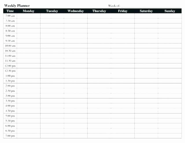 Daily Hourly Planner Template Excel Fresh Printable Daily Schedule Weekly Work Templates Hour