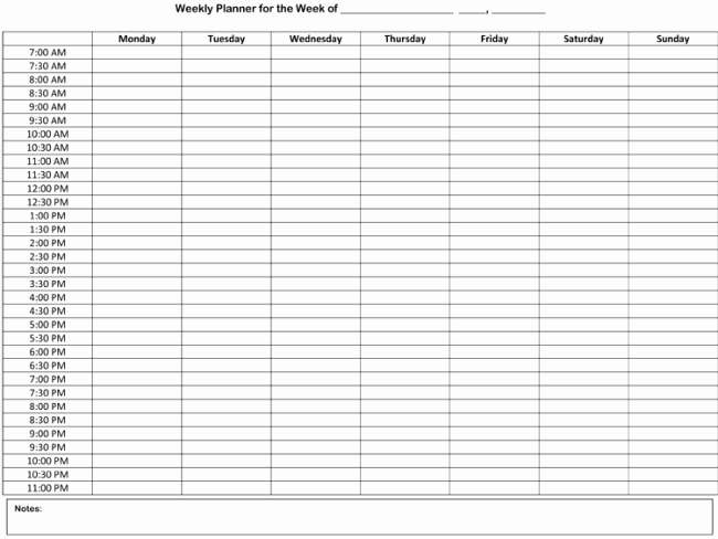 Daily Hourly Planner Template Excel Fresh Weekly Hourly Schedule Template