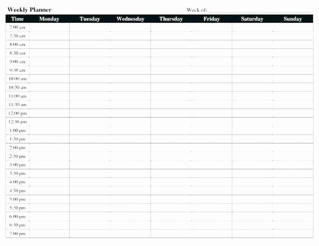 Daily Hourly Planner Template Excel Lovely 24 7 Schedule Template Hour Schedule Planner Easy Daily