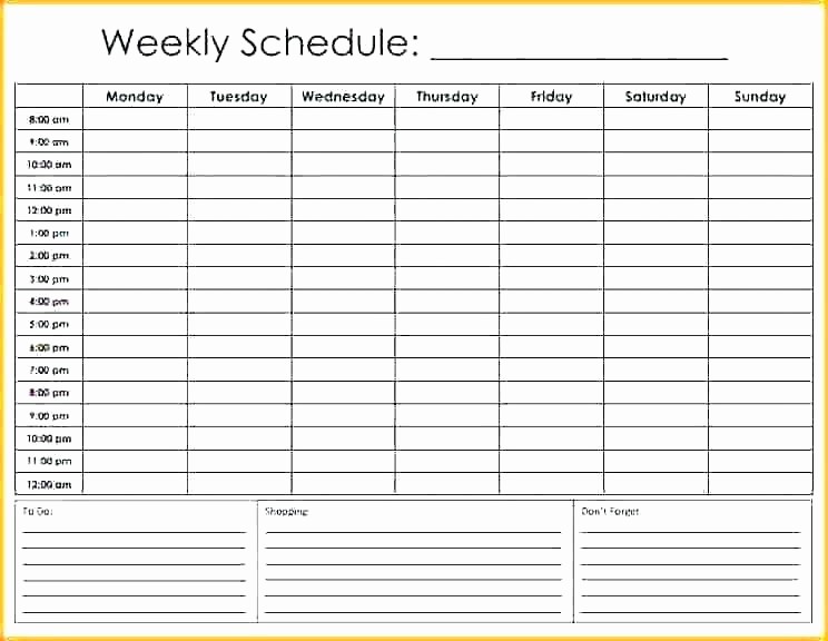 Daily Hourly Planner Template Excel New Daily Time Planner Template Excel Day Schedule Awesome