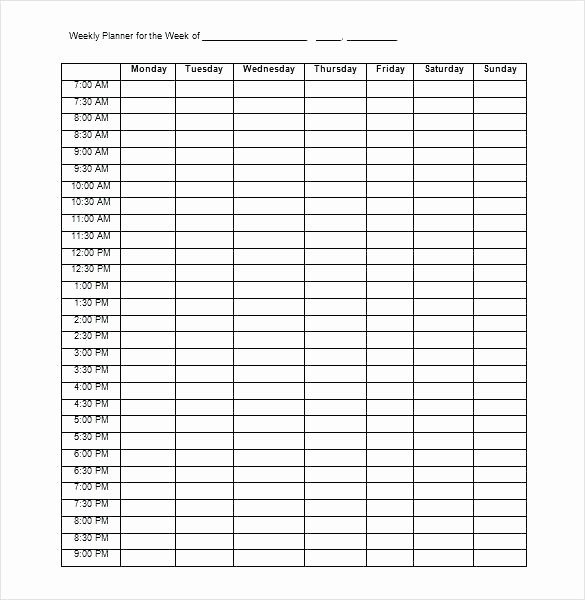 Daily Hourly Schedule Excel Template Elegant Daily Hourly Planner Template Excel Choice Image