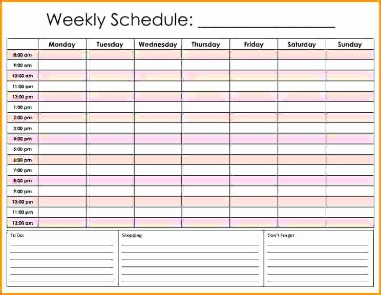 Daily Hourly Schedule Template Excel Awesome Daily Schedule Excel Worksheet Spreadsheet with Free