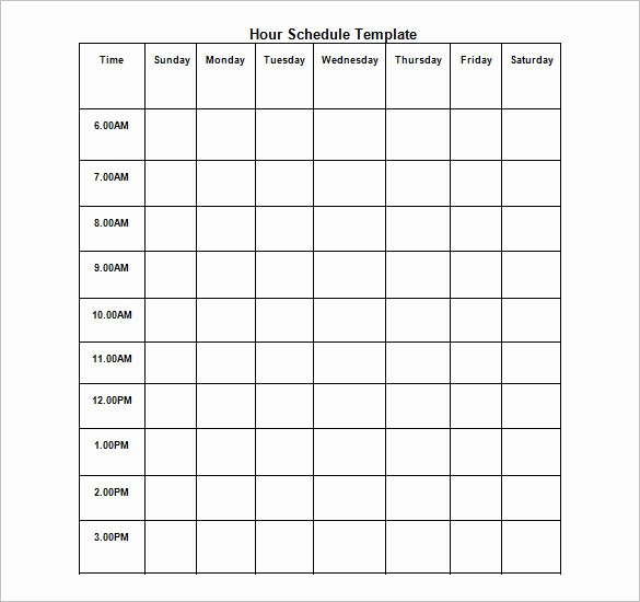 Daily Hourly Schedule Template Excel Elegant Hourly Schedule Template
