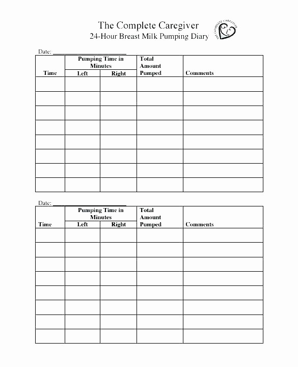 Daily Hourly Schedule Template Excel New Microsoft Word Hourly Planner Template Download Schedule