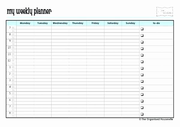 Daily Planner with Time Slots Unique Weekly Time Slot Calendar Template – Designtruck