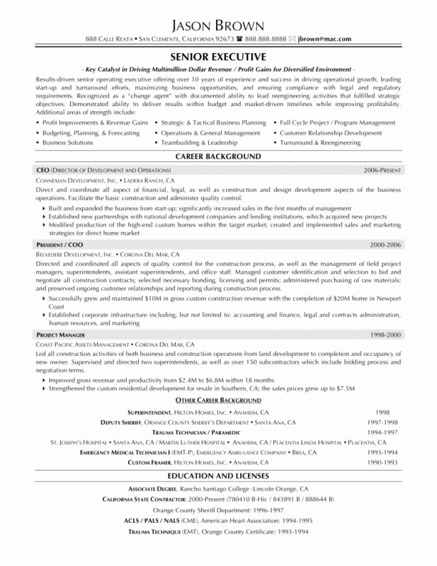 professional resume template free