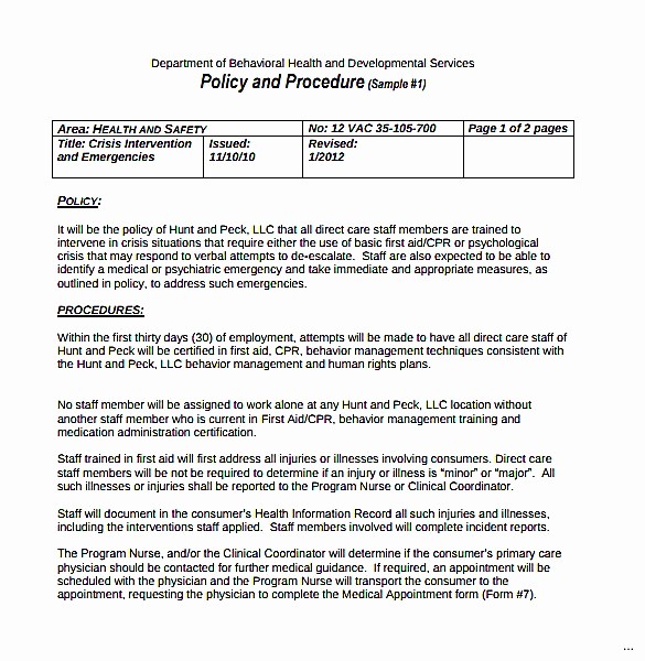 Easy P&amp;amp;l Template Unique Information Technology Policies and Procedures Templates