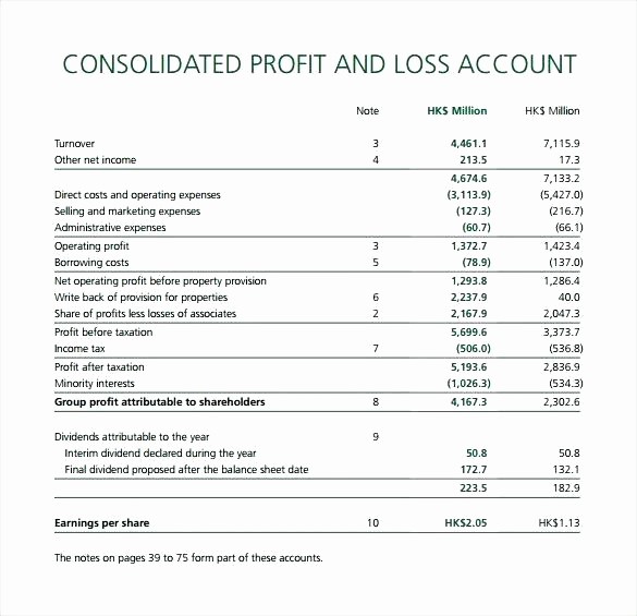 Easy Profit and Loss Template Elegant 7 Basic Profit and Loss Statement Template