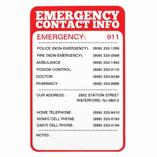 50 Emergency Contact List For Babysitters