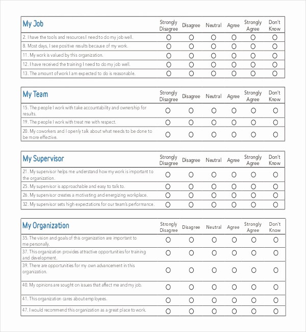 Employee Satisfaction Survey Template Word Unique 19 Employee Survey Templates &amp; Samples Doc Pdf