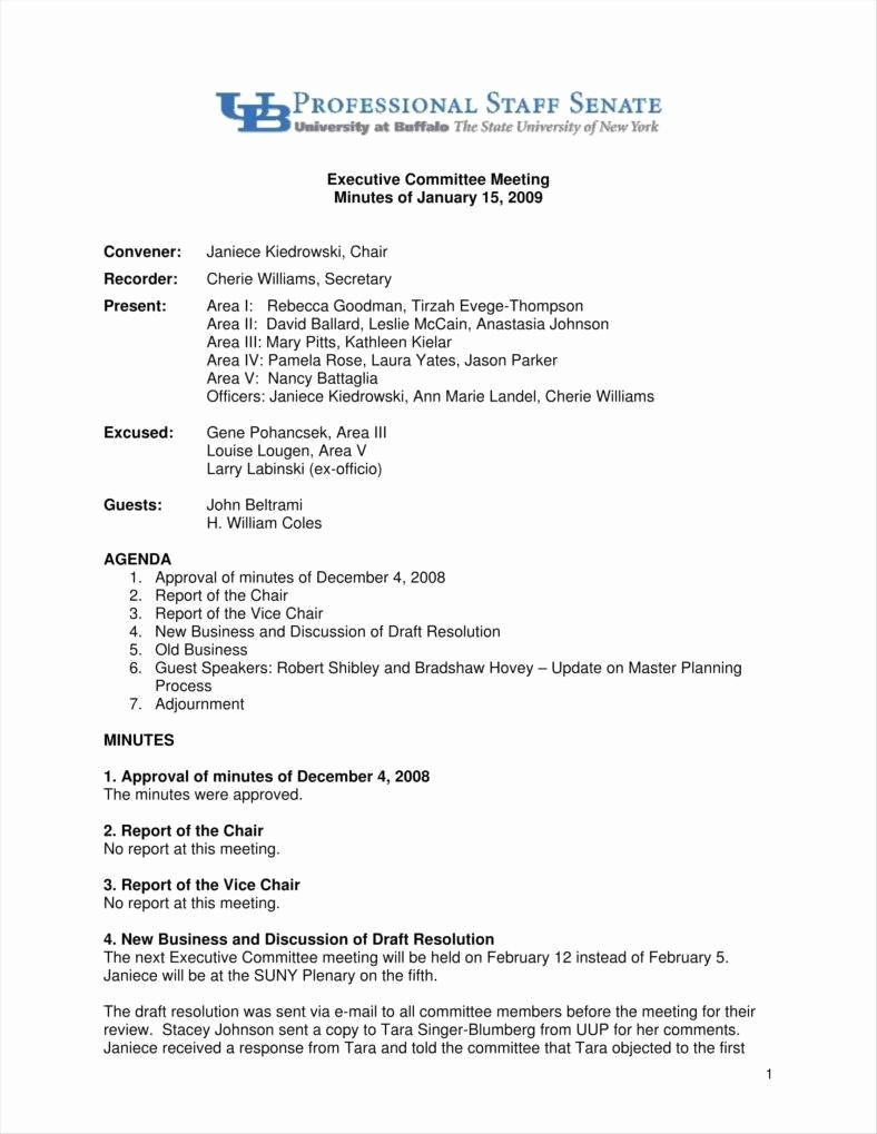 Example Minutes Of Meeting Report Inspirational 30 Summary Templates In Pdf