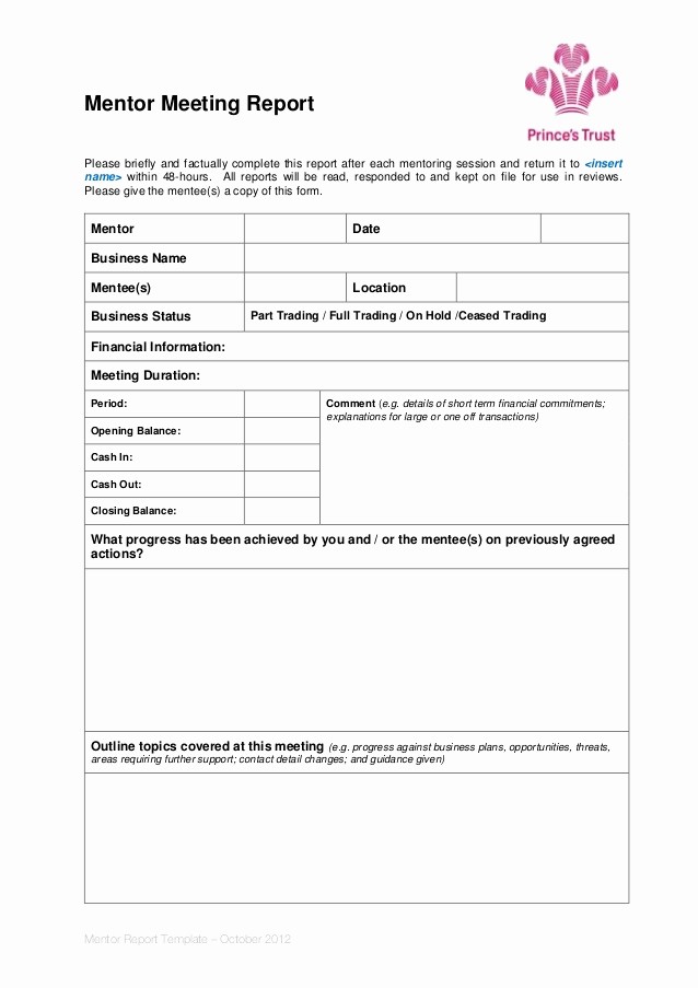 Example Minutes Of Meeting Report Lovely Mentor Meeting Report Template
