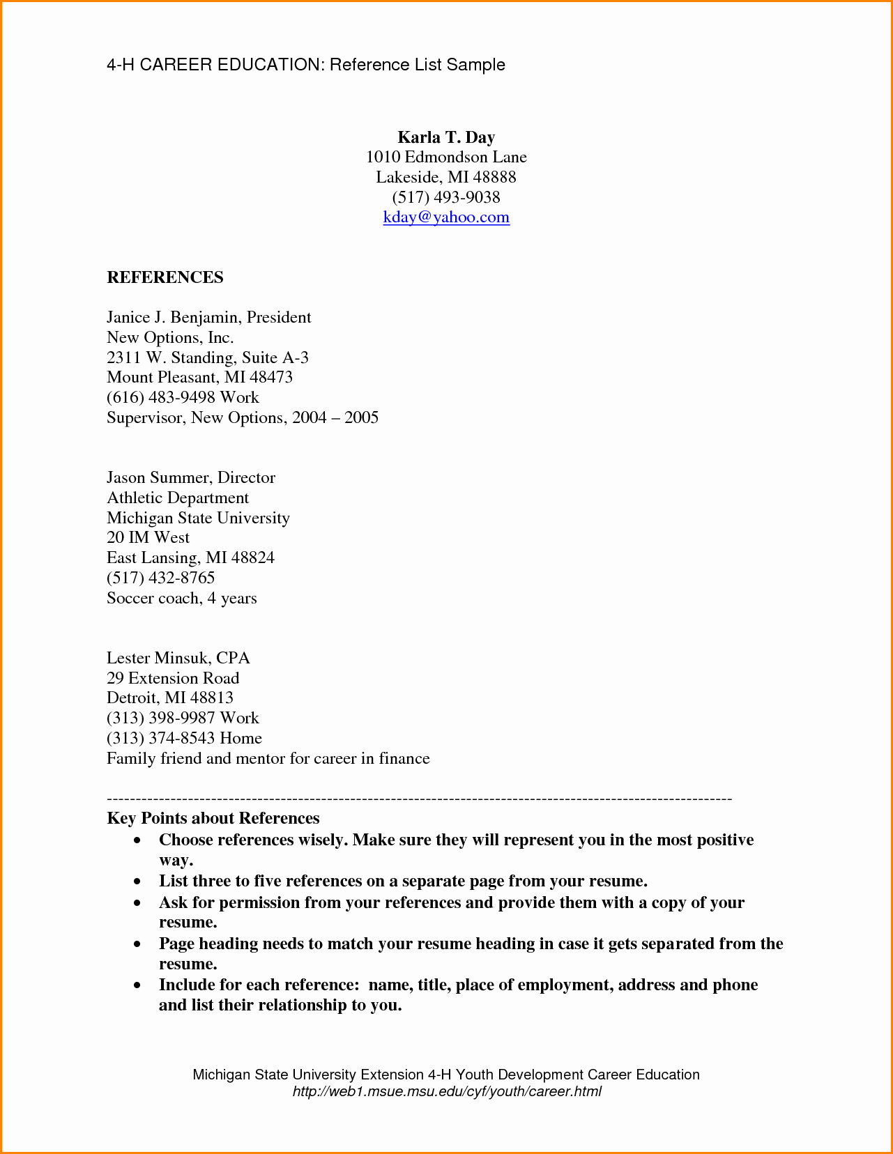 Example Of Professional Reference List Awesome List References Template
