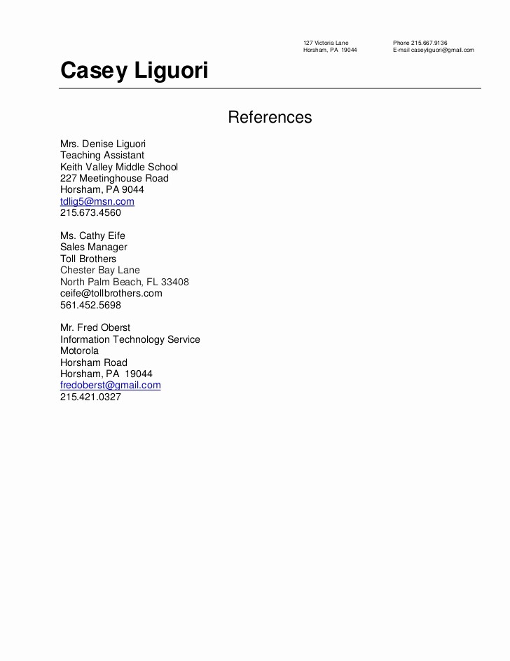 Example Of Professional References Page Beautiful Resume References Sample 2010