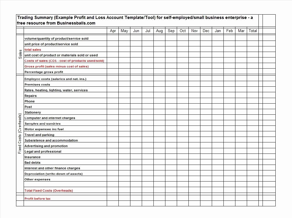 Example Of Profit and Loss Lovely 35 Profit and Loss Statement Templates &amp; forms