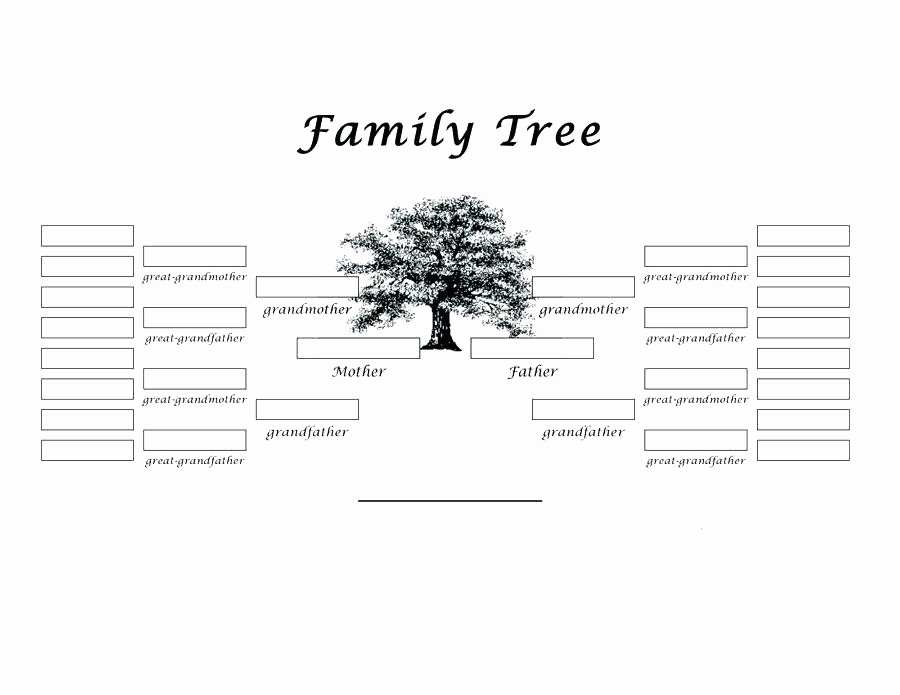 Excel Family Tree Template Free Beautiful Medium to Size Family Tree Template with Siblings