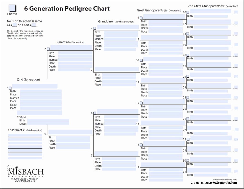 Excel Family Tree Template Free Fresh Genealogy Family Tree Templates Excel form Resume
