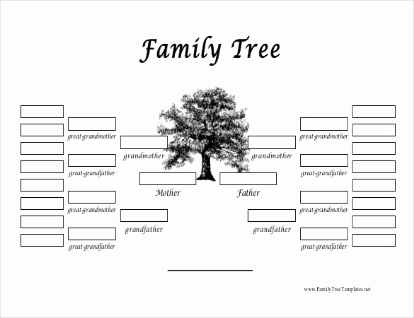 Excel Family Tree Template Free Inspirational 34 Family Tree Templates Pdf Doc Excel Psd