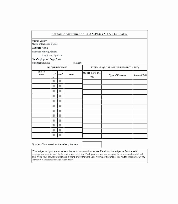 Excel Income and Expense Ledger Elegant Monthly Ledger Sheets Expense Template Small Business