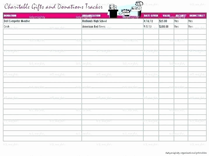 Excel Spreadsheet for Church Contributions Awesome Donation Spreadsheet Template Pledge Donation Spreadsheet