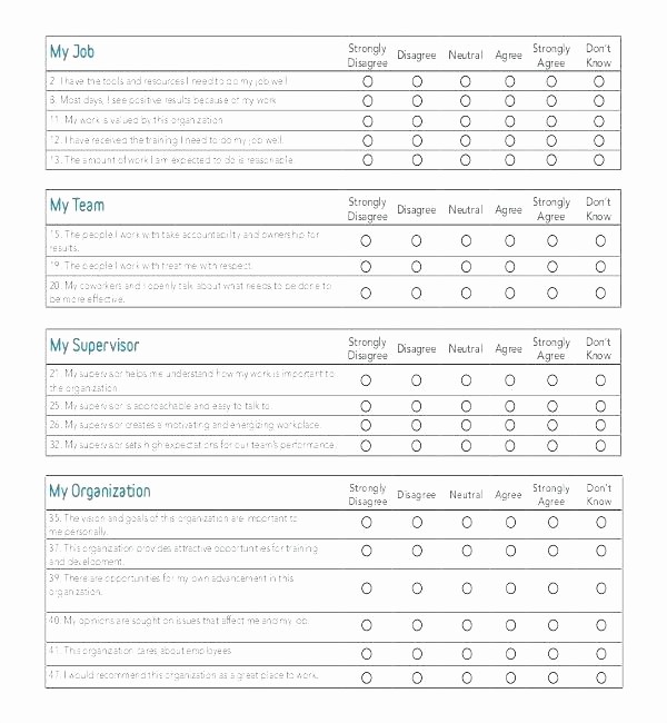 Excel Survey Template Free Download Beautiful Research Questionnaires Templates Market Survey Template