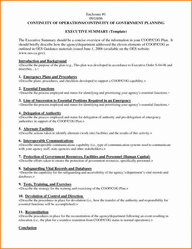 Executive Summary Financial Report Template Unique Executive Summary Template Word Example Mughals