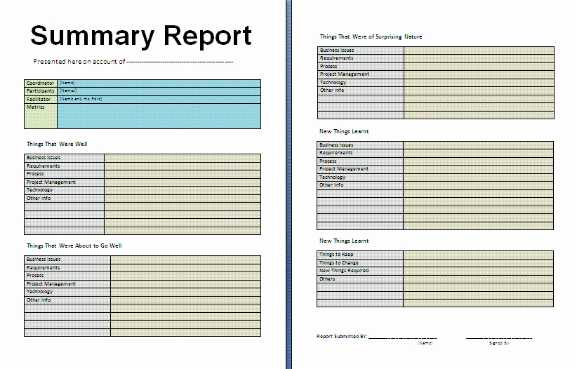 Executive Summary Financial Report Template Unique Summary Report Template