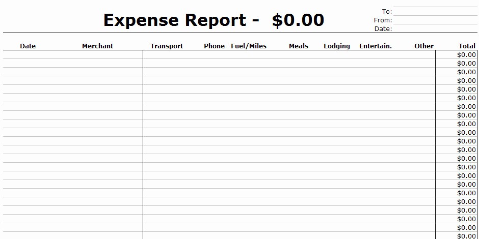 Expense Report Template Excel 2010 Awesome Expense Report Template Free Printable