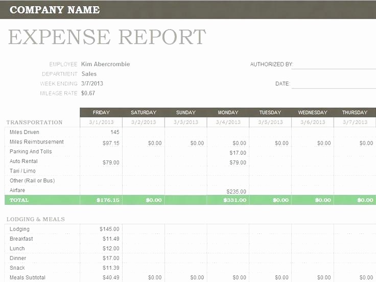 Expense Report Template Excel 2010 Luxury Accounting Template for Excel 2010 Trial Full Size